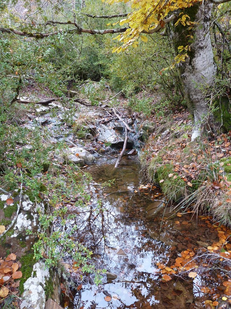 photo 2011-11-11-33SotdelInfern.jpg