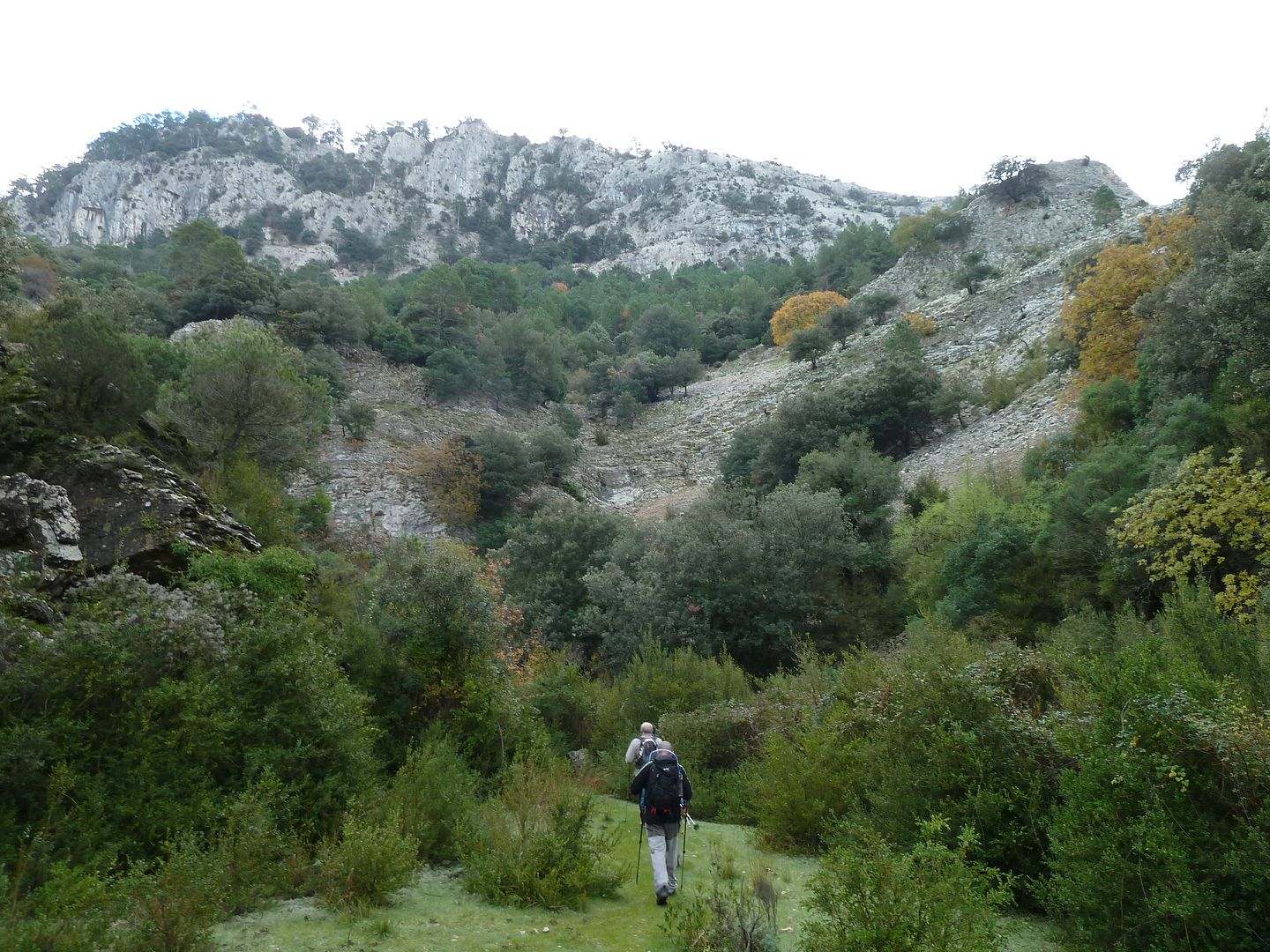 photo 2012-11-24-05BarrancdelCarrerAmple.jpg