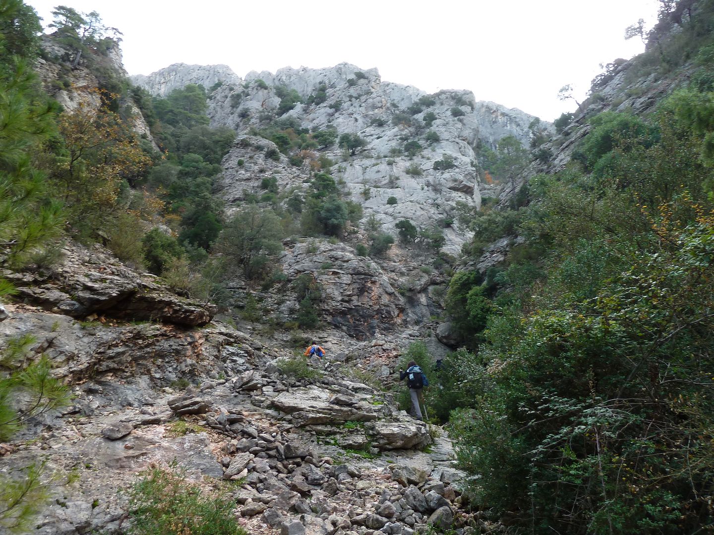 photo 2012-11-24-07BarrancdelCarrerAmple.jpg