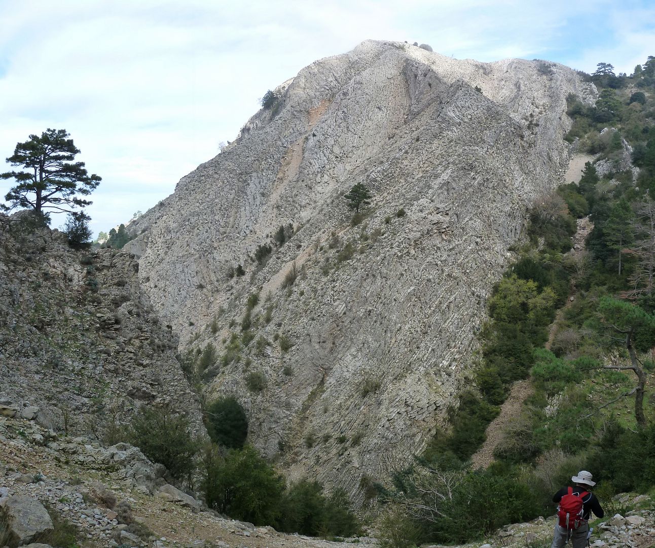 photo 2012-11-24-27BaixadaalBassisdelaMuntanyola.jpg