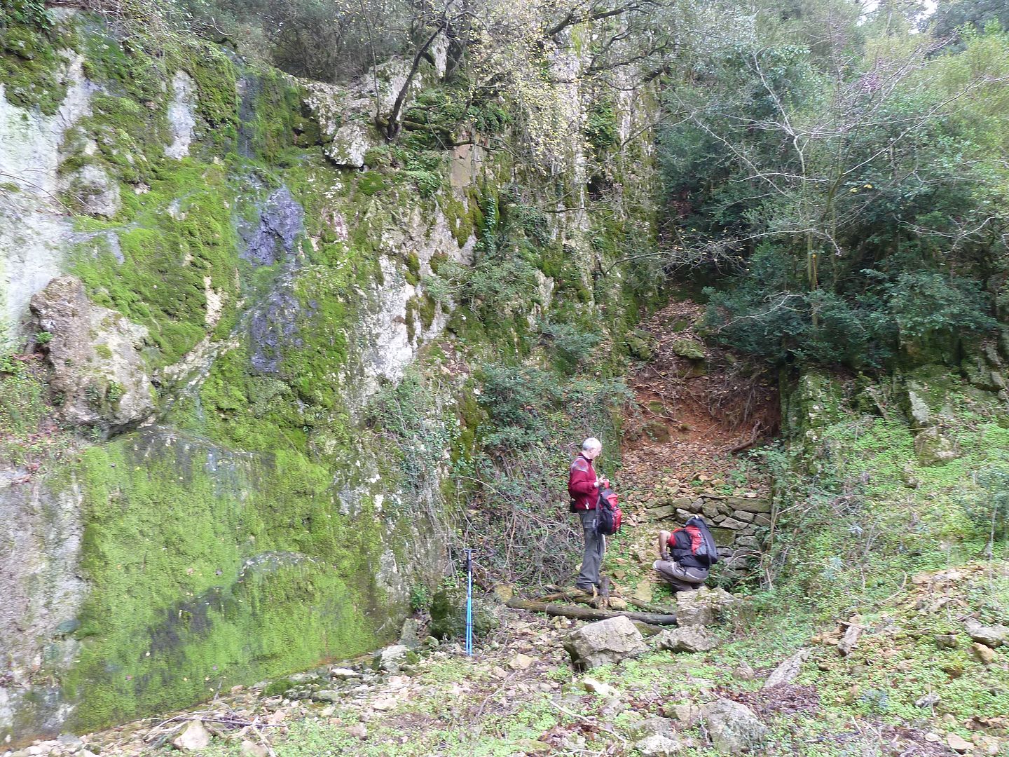 photo 2012-11-24-28BassisdelaMuntanyola.jpg