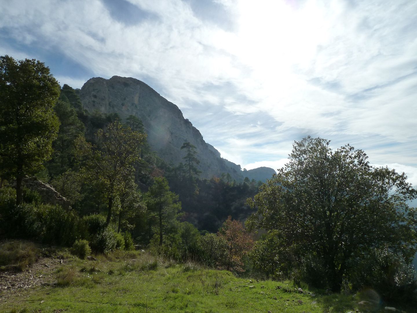 photo 2012-11-24-88 Coll de la Muntanyola lEnrajolada.jpg