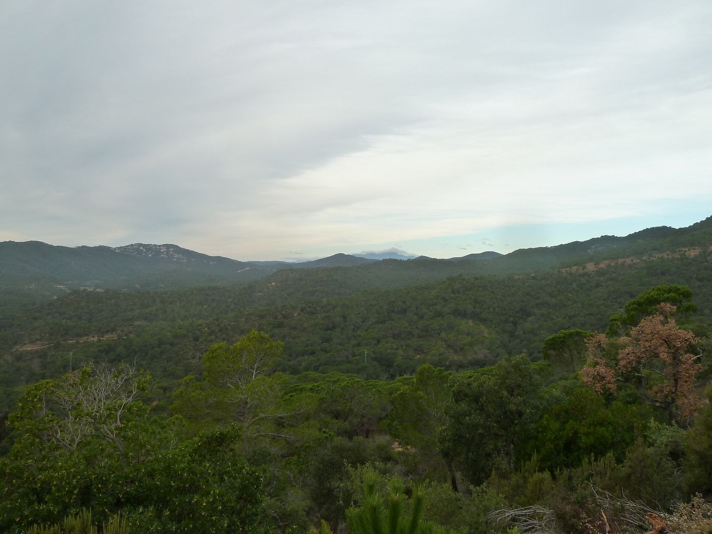 photo 2012-12-15-05MontsenydesdelColldelSastre.jpg