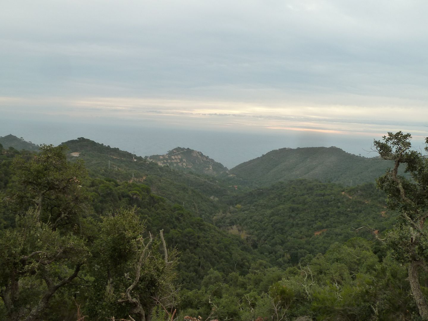 photo 2012-12-15-08BarrancdePolaPuigNauPuigGarrigar.jpg