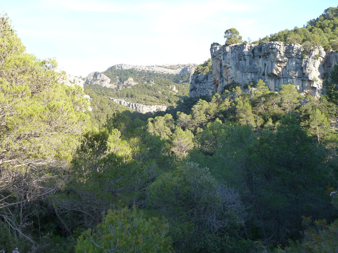 photo 2012-12-22-104ValldelMagre.jpg