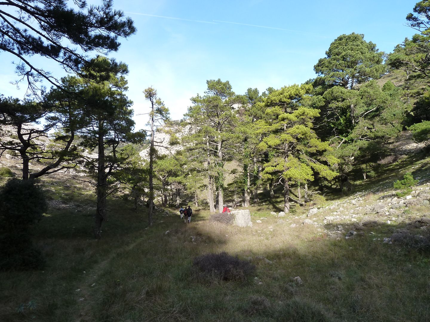 photo 2012-12-22-90LoVacarissal.jpg