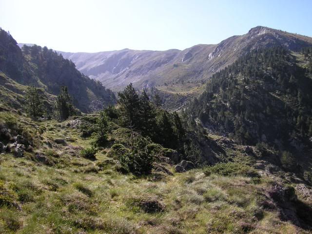 photo 006.jpg