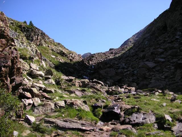 photo 008.jpg