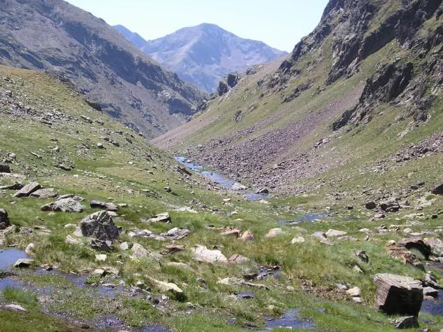 photo 016.jpg