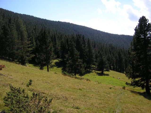 photo 126_74BaixadadelColldelaBalmeta.jpg