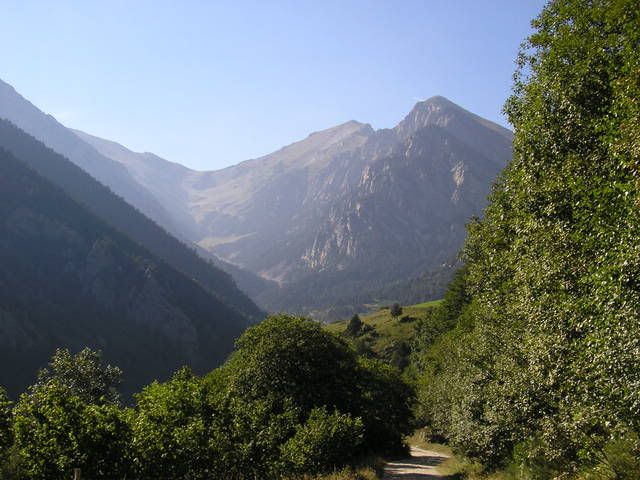 photo 126_81GradeFajol.jpg