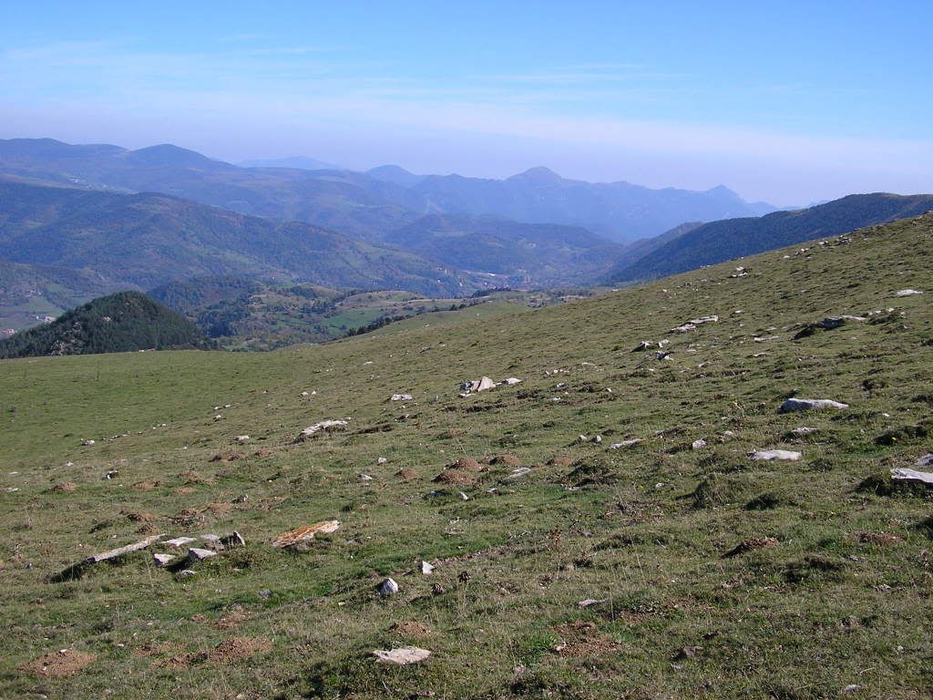 photo PA135542.jpg