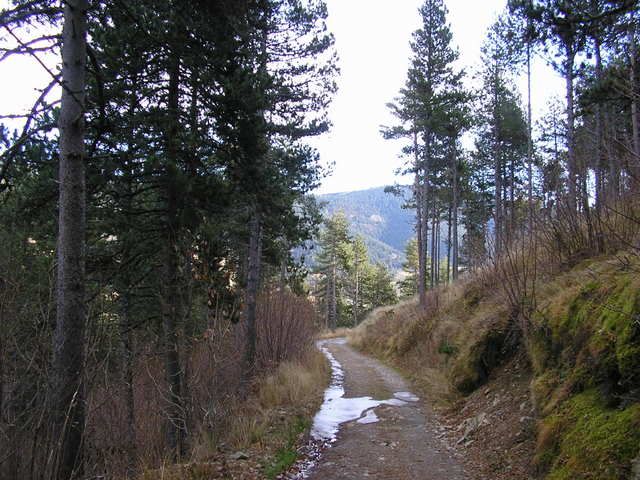 photo 137_02CamdelTorrentdeColldePal.jpg