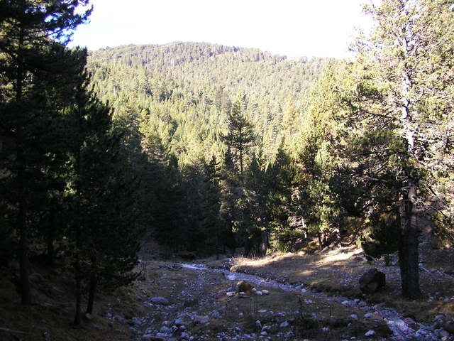 photo 137_04TorrentdeColldePal.jpg
