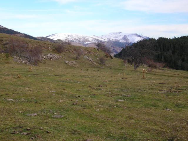 photo 137_36PladelConillSerradelaMoixera.jpg