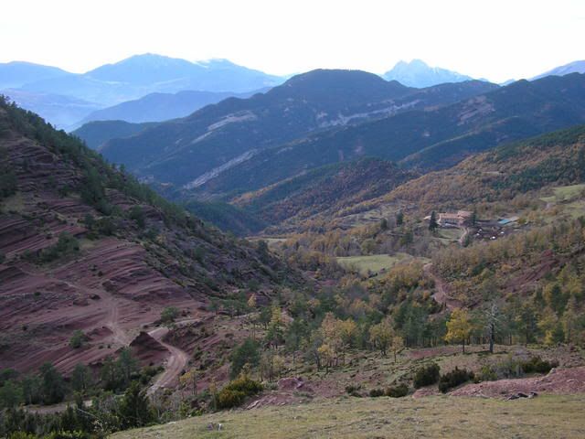 photo 137_39LaPardinellaCollRoig.jpg