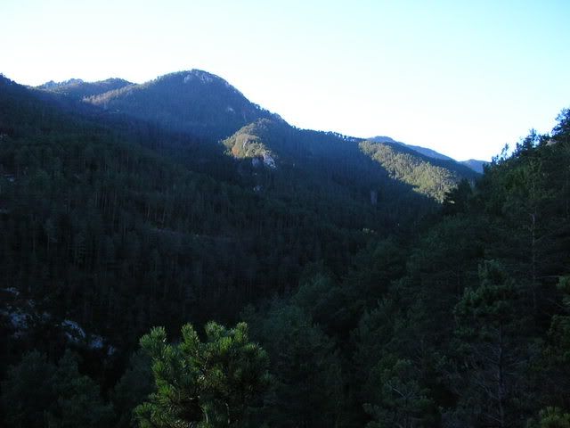 photo 137_54.jpg