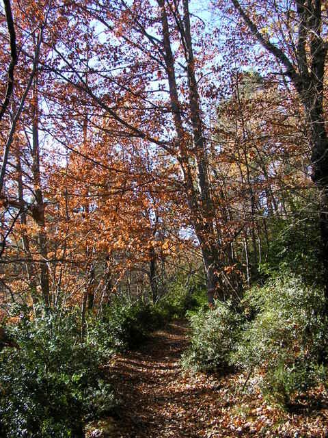 photo 137_56.jpg