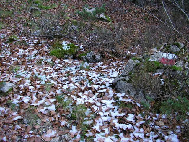 photo 137_64.jpg
