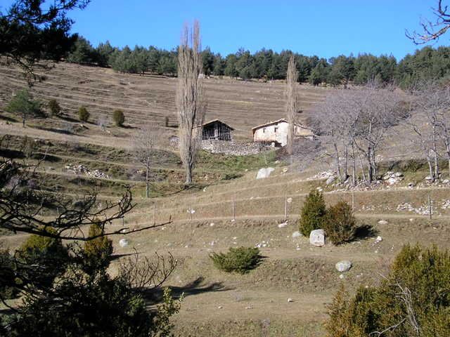 photo 137_75CanSerra.jpg