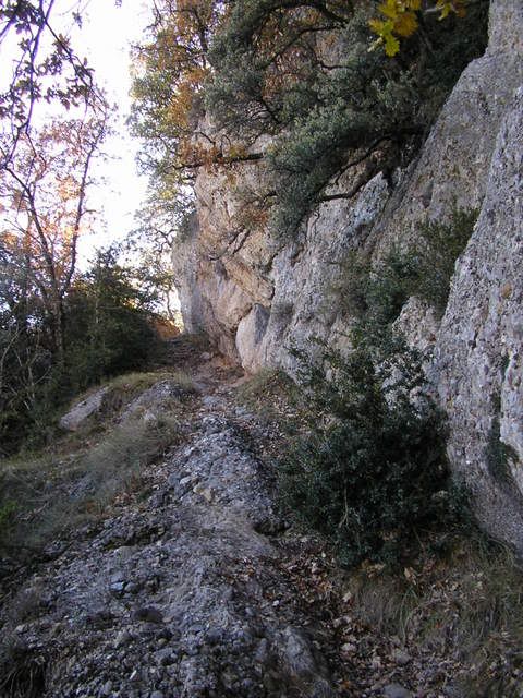 photo 137_86.jpg