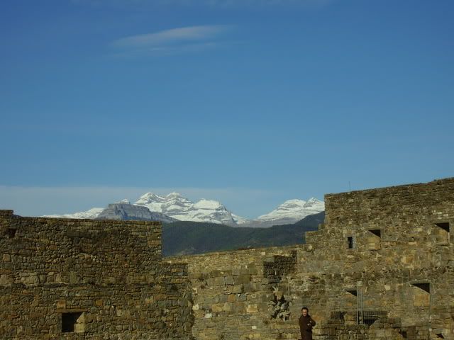 photo 11.jpg