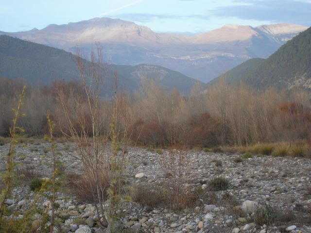 photo 28.jpg