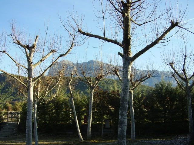 photo 9.jpg