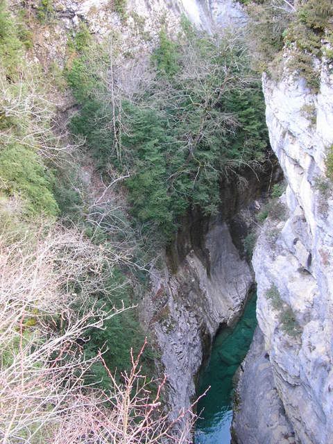 photo PC086205.jpg