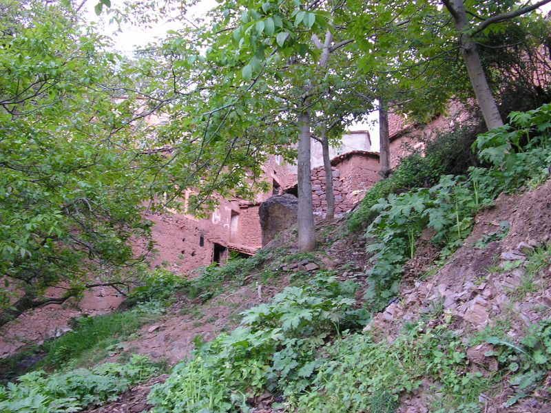 photo 1a703b9b.jpg