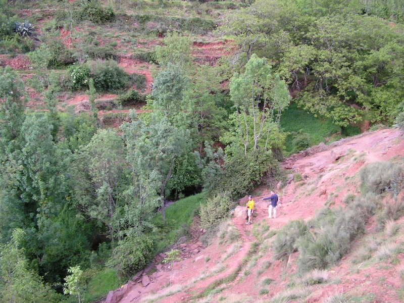 photo 42c4e2ca.jpg