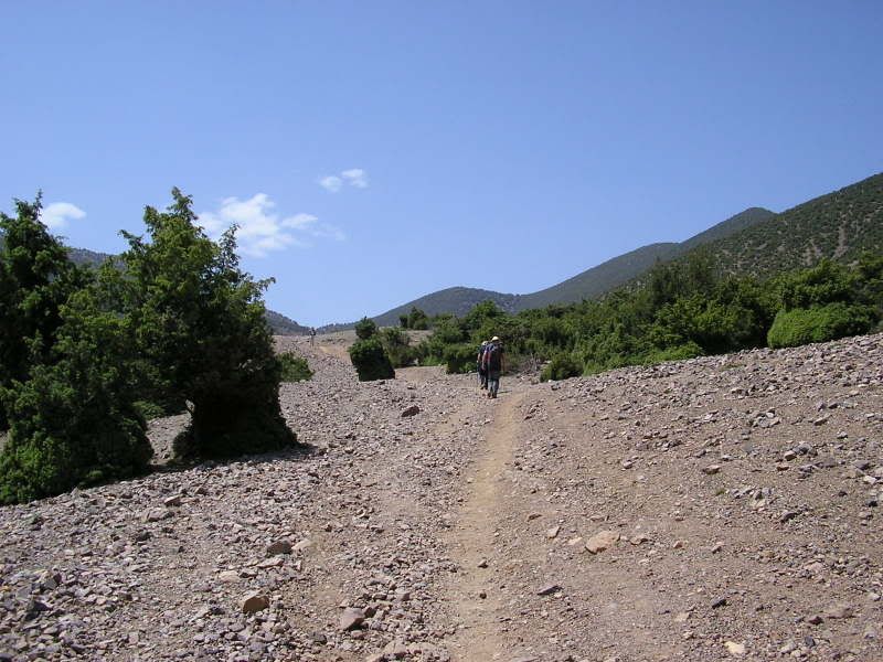 photo ef2e4e21.jpg