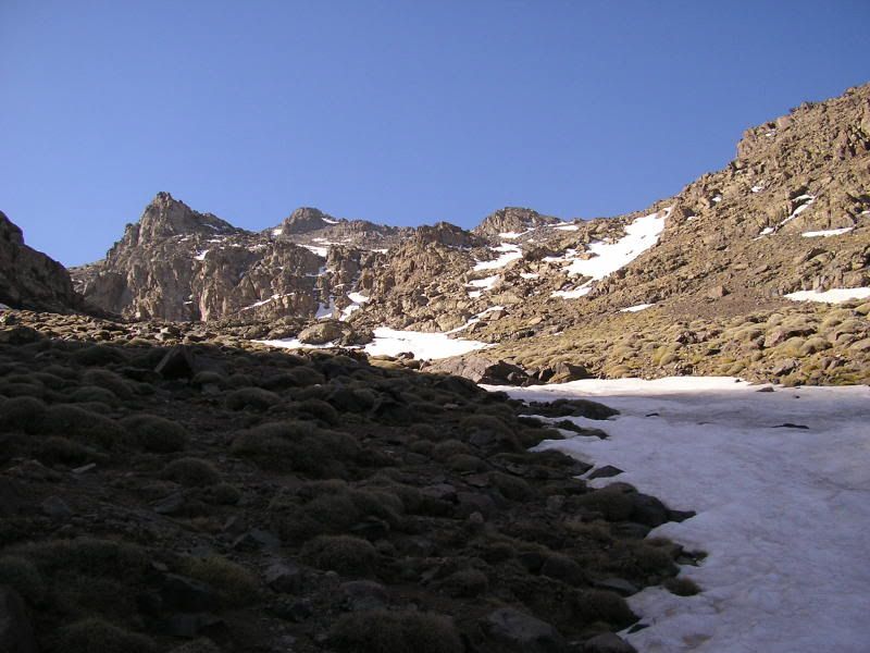 photo ecaa2313.jpg