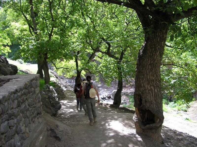 photo 04f38f84.jpg