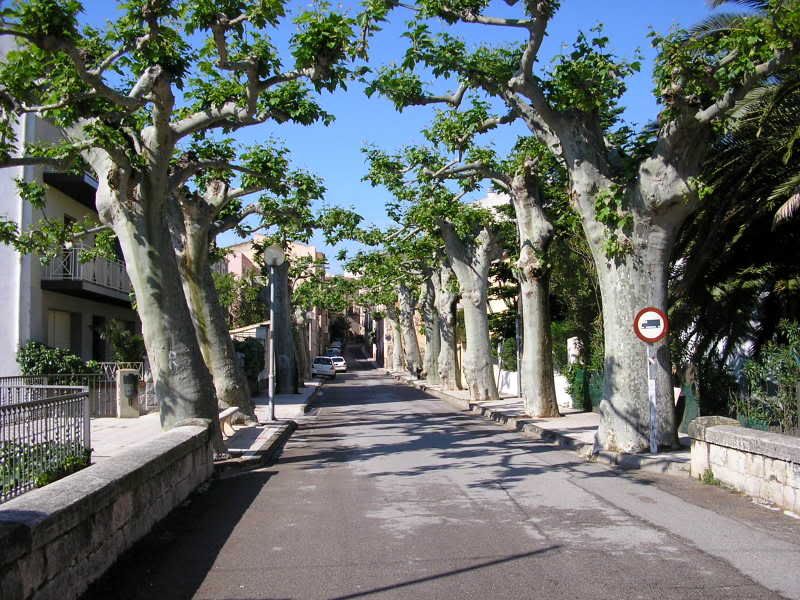 photo 158_23Mont-roig.jpg