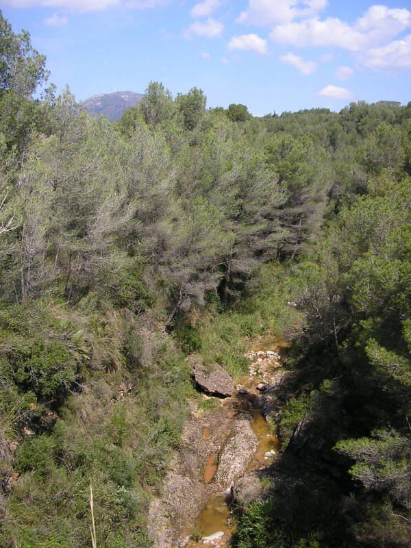 photo 158_69BarrancdeRif.jpg