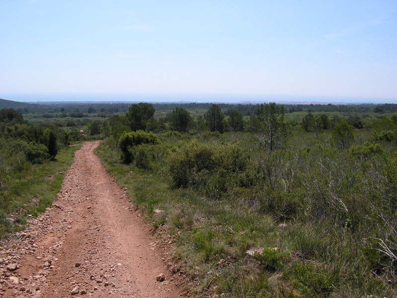 photo 158_80BaixCamp.jpg