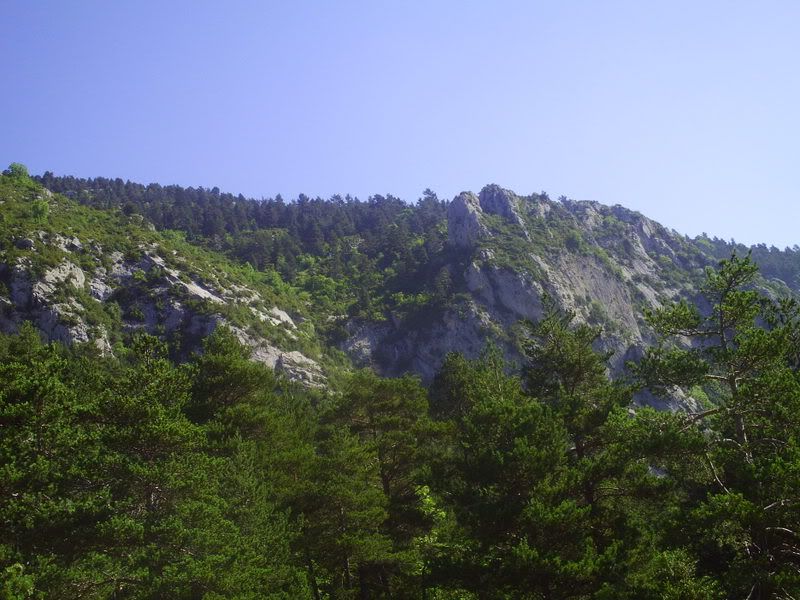 photo 160_04VessantSuddelaCovil.jpg