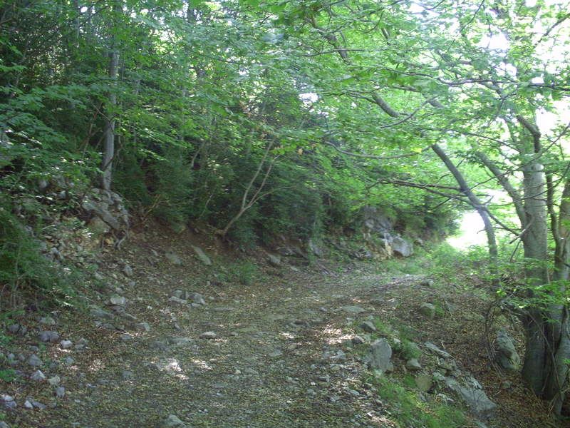 photo 160_15.jpg