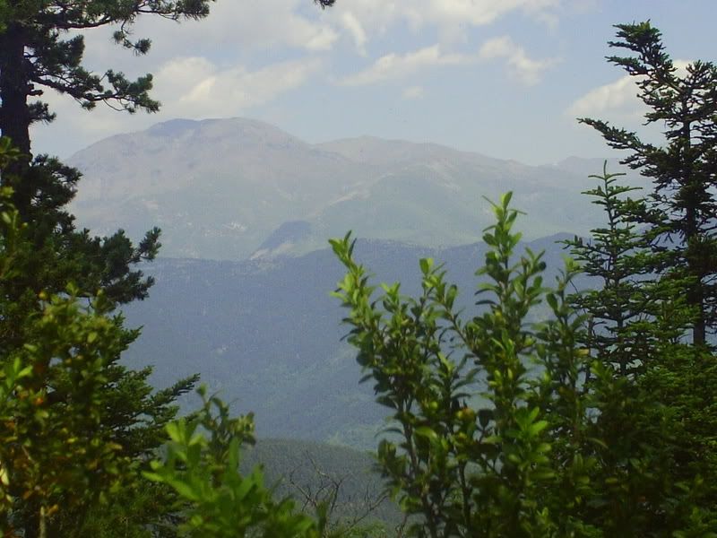 photo 160_25Puigmal.jpg