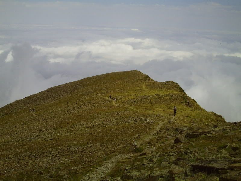 photo 163_09CrestadeBarbetmardenvols.jpg