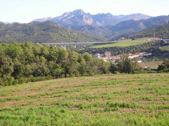 photo 166_05CalRosaliSerradeCatllars.jpg