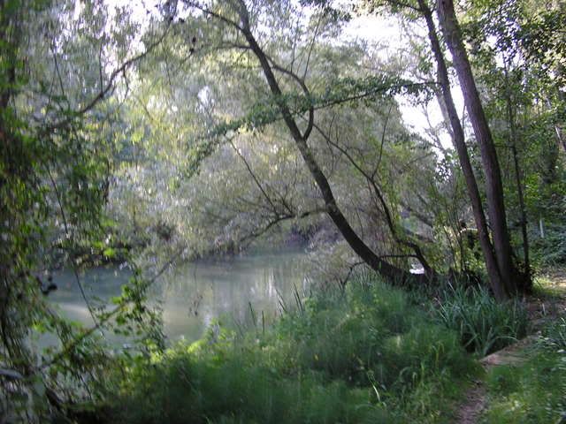 photo 166_11LlobregatalaPlana.jpg