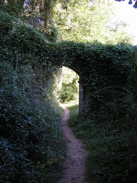 photo 166_12.jpg