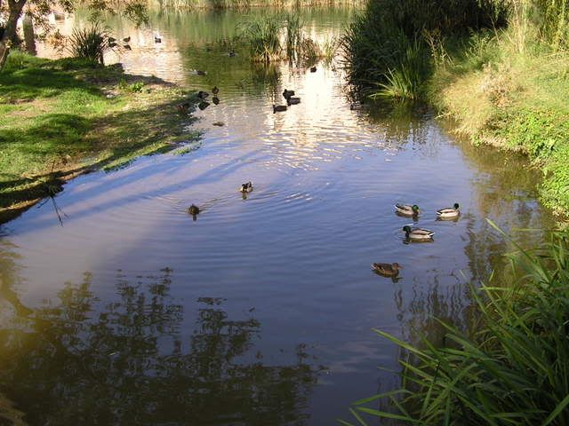 photo 166_16.jpg