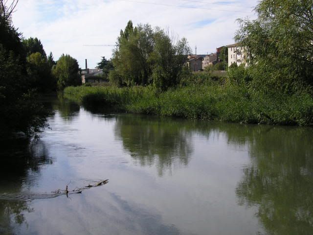 photo 166_25CalBassacs.jpg