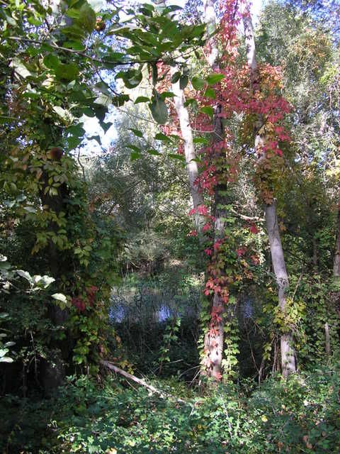 photo 166_28_1.jpg