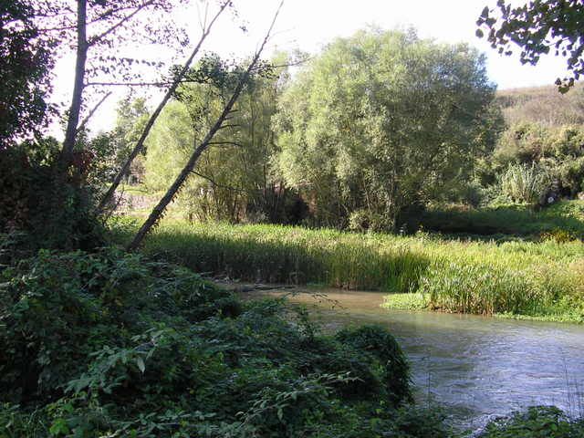 photo 166_29.jpg