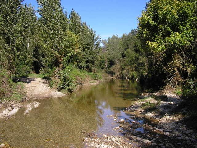 photo 166_68RieradeMerls_1.jpg