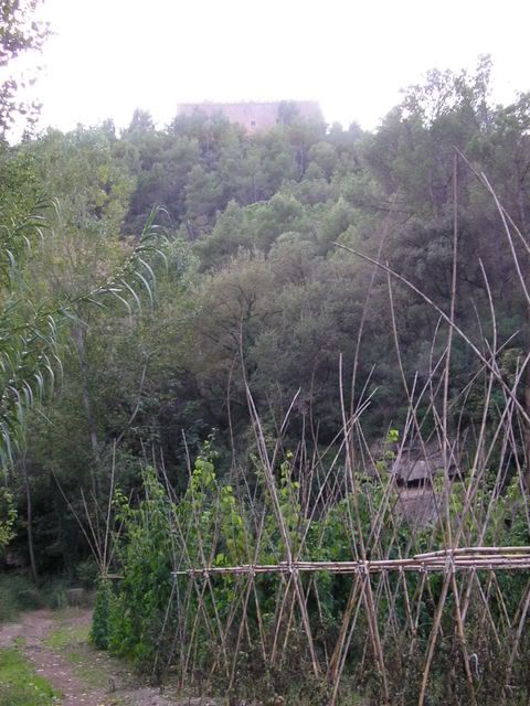 photo 166_95CastelldeBalsareny_1.jpg